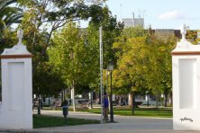 Taller de Pintura al aire libre 